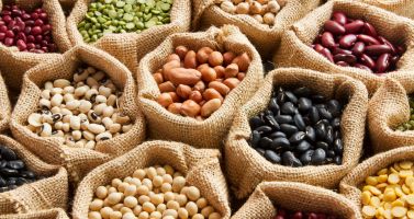 catégorie de recettes de légumineuses