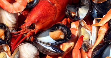 recettes de fruit de mer